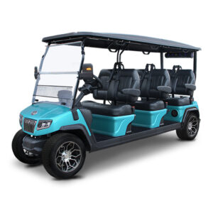 Evolution D5 Ranger-6 Golf Cart