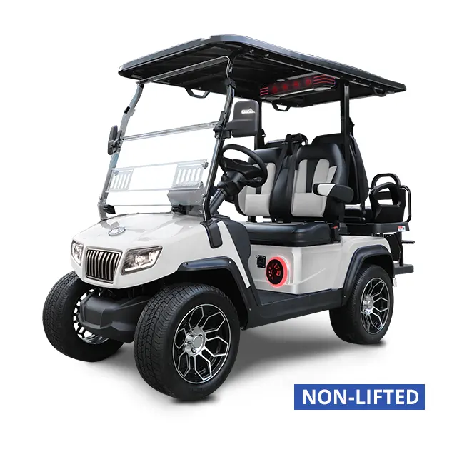 Street-Legal Golf Carts: Why are so many consumers Buying Golf Carts for Transportation options?