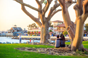 San Diego Waterfront Public Park, Marina and the San Diego Skyli