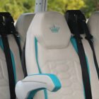 Features ALL d6 SAFETY BELT