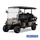 EPIC E60FX Golf Carts Metallic Cashmere
